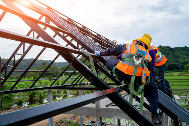 Best Gutter Installation and Roofing  in Woodfin, NC