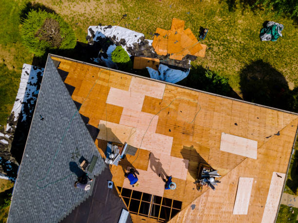 Best Roof Gutter Cleaning  in Woodfin, NC