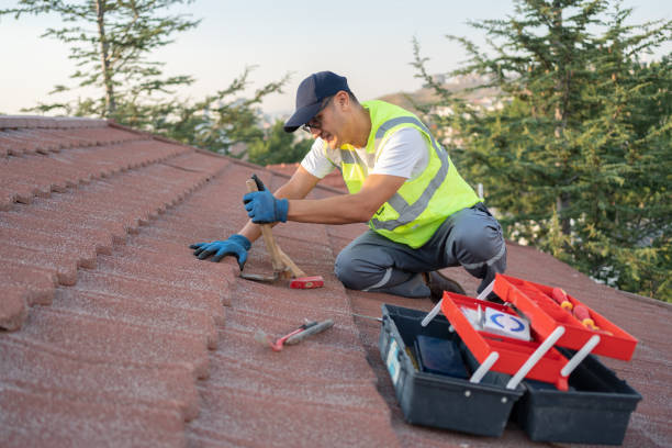 Best Heating Cable for Roof Installation  in Woodfin, NC