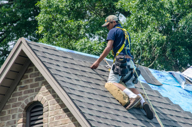 Best Roof Repair Specialists  in Woodfin, NC